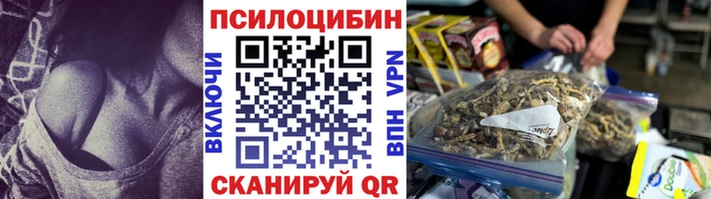 Псилоцибиновые грибы Cubensis  где продают наркотики  Глазов 