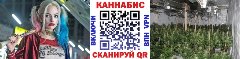 Шишки марихуана сатива  shop клад  Глазов 